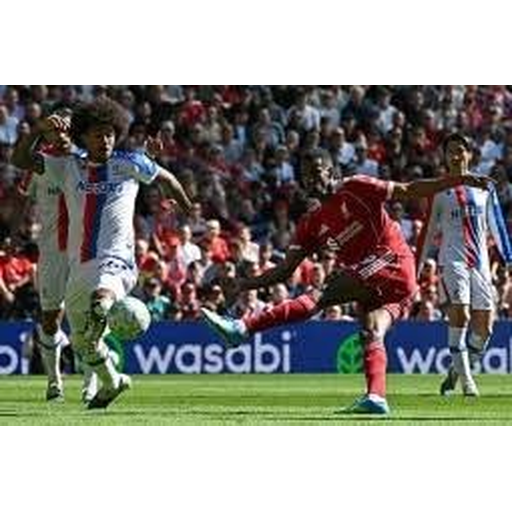 赢咖6